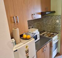 Küche in einer Einzimmerwohnung mit Gasherd, Mikrowelle und weißem Kühlschrank.