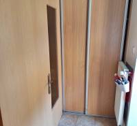 Eingangsbereich einer Einzimmerwohnung mit Holztür, Einbauschrank und Heizkörper.