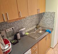 Küche mit Holzschränken, Mosaikfliesen und Spüle in einer Einzimmerwohnung.