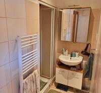 Badezimmer in einer Einzimmerwohnung mit Waschbecken, Duschkabine und Handtuchheizkörper.