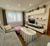 Wohnzimmer in einer 4-Zimmer-Wohnung mit grauem Sofa, Tisch und Fernseher.