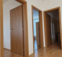 Innenraum eines Einfamilienhauses mit Holztüren und Holzboden.