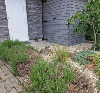 Garten mit Blumen und Pflastersteinen bei einem Einfamilienhaus in der Brusnicova-Straße in Chorvátsky Grob.