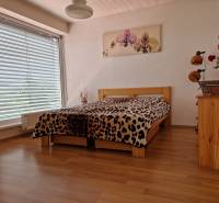 Schlafzimmer in einem Einfamilienhaus mit großem Fenster, Bett und Bild an der Wand.