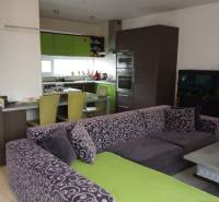 Wohnzimmer mit Küche in einem Einfamilienhaus, bunte Couch und grüne Küchenschränke.