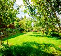 Ein Garten mit Obstbäumen auf einem Grundstück zum Wohnen in Pružina, Pružina.