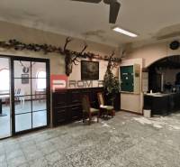 Interieur eines Gastronomiebereichs mit Jagddekor, Stühlen und Bartresen.