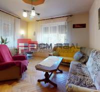 Wohnzimmer eines Einfamilienhauses mit Sofa, Sessel, Tisch und Pflanzen in Töpfen.