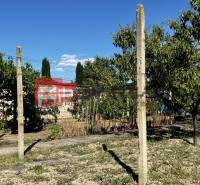Der Garten des Einfamilienhauses in der Nerudova-Straße in Pezinok mit Obstbäumen und Weinreben.