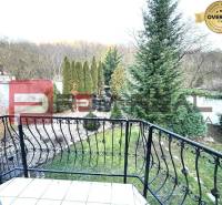 Der Garten des Einfamilienhauses in der Gemeinde Píla mit Ziergehölzen und einem schmiedeeisernen Geländer.