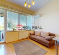 Einzimmerwohnung mit Sofa, Esstisch und Zugang zum Balkon.