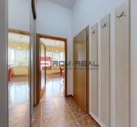 Der Flur in einer Einzimmerwohnung mit einer Garderobenwand, Türen und Blick ins Wohnzimmer.
