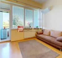 Wohnzimmer in einer Einzimmerwohnung mit Sofa, Couchtisch und Zugang zum Balkon.