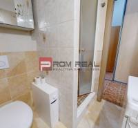 Badezimmer mit Toilette und Duschkabine in einer Einzimmerwohnung.