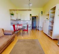 Wohnzimmer mit ausziehbarem Sofa, Tisch, roten Stühlen und Küchenzeile in einer Einzimmerwohnung.