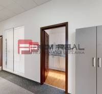 Büroflächen mit Eingangstüren und Beleuchtung, Prorom Real.