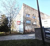 Ein Gebäude in der Ľ. Podjavorinská-Straße, bedeckt mit Kletterpflanzen, daneben steht ein Baum.