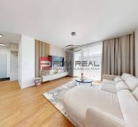 Helles Wohnzimmer mit Sofa und Fernseher in einer Zweizimmerwohnung.