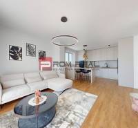 Wohnzimmer mit Küche, Sofa, Essbereich und Dekorationen in einer 2-Zimmer-Wohnung.
