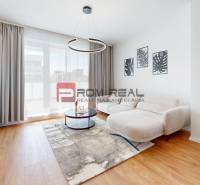 Helles Wohnzimmer mit Sofa und Fernseher in einer 2-Zimmer-Wohnung, Holzboden, Dekorationen an den Wänden.