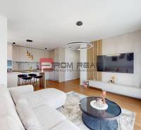 Wohnzimmer in einer 2-Zimmer-Wohnung mit Küchenzeile und großem Fernseher.