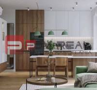 Wohnzimmer und Küche mit Holzmöbeln und grünen Akzenten in einer 2-Zimmer-Wohnung in Pezinok.