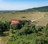 Weitläufige Weinberge, grüne Felder, Bäume an der Limbašská-Straße, ideal für eine 2-Zimmer-Wohnung.