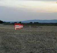 Blick auf landwirtschaftliche und forstwirtschaftliche Flächen in der Senecká-Straße bei Sonnenuntergang.