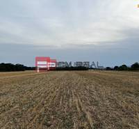 Ein Feld an der Senecká-Straße mit landwirtschaftlichen und forstwirtschaftlichen Flächen, umgeben von Bäumen.
