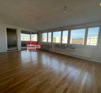 Großes, geräumiges Zimmer mit hellen Parkettböden, Fenster mit Aussicht, 4-Zimmer-Wohnung.