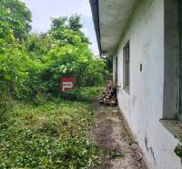 Grundstück in der Holubyho-Straße in Pezinok, überwuchert mit Grün, mit einem Nebengebäude.