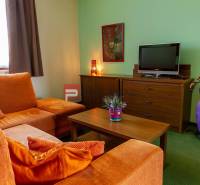Wohnzimmer in Hotels und Pensionen, mit Sofa, Fernseher, Bild und Dekorationen.