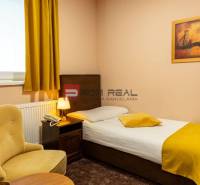 Einzelzimmer mit Sessel und Bild in Hotels und Pensionen.