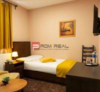 Gemütliches Zimmer mit Bett, Sessel und Fernseher, ideal für Hotels und Pensionen.