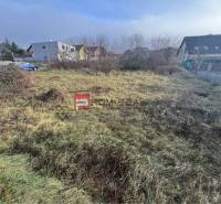 Stupava, Bazová: Grundstücke - Wohnen mit überwachsenem Gras und umliegenden Häusern.