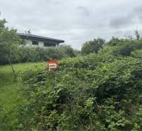 Verwachsenes Grundstück zum Wohnen in Marianka, Na Tálkoch, gegenüber einem Haus, umgeben von Grün.