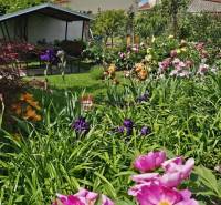 Der Garten beim Einfamilienhaus in der Sonnenstraße in Pezinok voller Blumen und ein Pavillon.