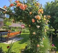 Ein blühender rosa Pavillon mit Sitzgelegenheiten im Garten eines Einfamilienhauses in der Sonnenstraße in Pezinok.