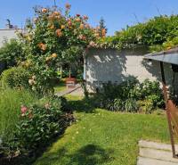 Der Garten des Einfamilienhauses in der Sonnenstraße in Pezinok mit schönen Blumen und Rasen.