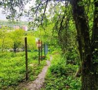 Ein schmaler Waldweg führt durch Hecken und Gärten in einer natürlichen Szenerie.