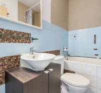 Badezimmer mit Dusche, Waschbecken und WC. Stauraum in einer Einzimmerwohnung.