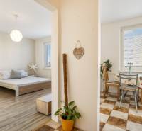 Innenraum einer 1-Zimmer-Wohnung mit Küche, Esstisch und Schlafzimmer mit Bett.