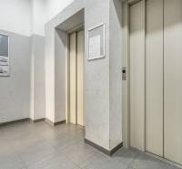 Flur in einer Einzimmerwohnung mit Aufzugstüren und Wandhinweisen.