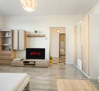 Wohnzimmer in einer Einzimmerwohnung mit Fernseher, Ventilator und Möbeln in neutralen Farben.
