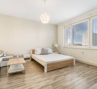 Helles Zimmer mit Bett, Sofa und großem Fenster in einer Einzimmerwohnung.