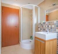 Badezimmer in der Ferienwohnung mit Duschkabine und quadratischem Waschbecken.