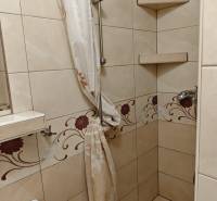Duschkabine mit Blumenmuster in den Fliesen in einer 2-Zimmer-Wohnung.