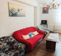 Wohnzimmer in einer 2-Zimmer-Wohnung mit einem Blumenmuster-Sessel, einem roten Sofa und einem Tisch.