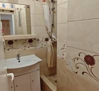 Badezimmer in einer 2-Zimmer-Wohnung mit Dusche und Waschbecken.