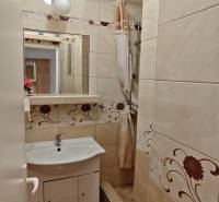Badezimmer in einer 2-Zimmer-Wohnung mit Waschbecken, Spiegel und Duschkabine.